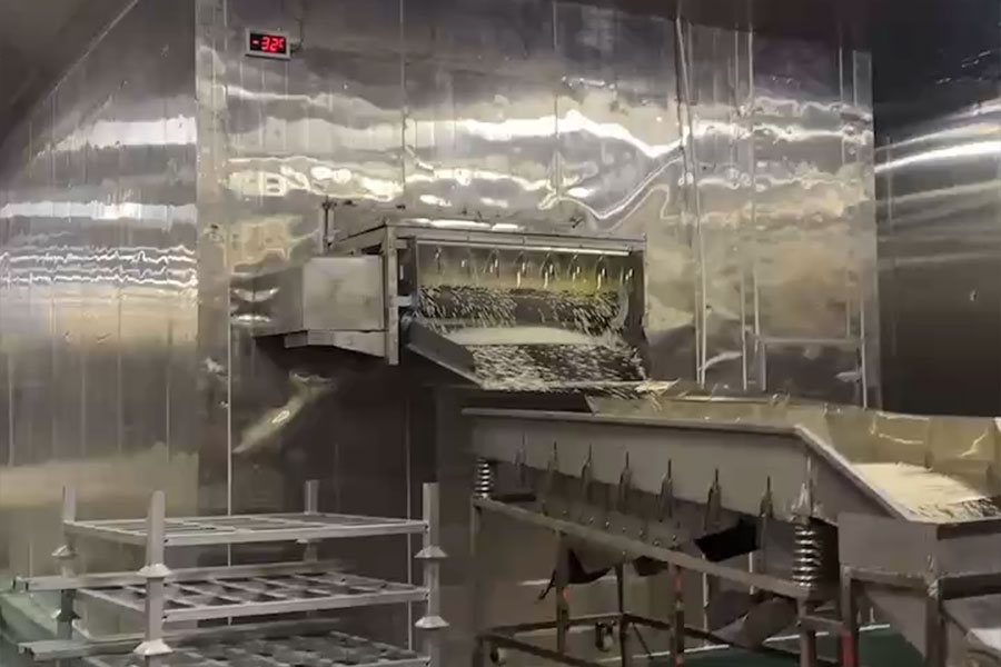 Một công ty thực phẩm ở tỉnh Phúc Kiến đang phát triển dự án đường hầm đông lạnh nhanh.