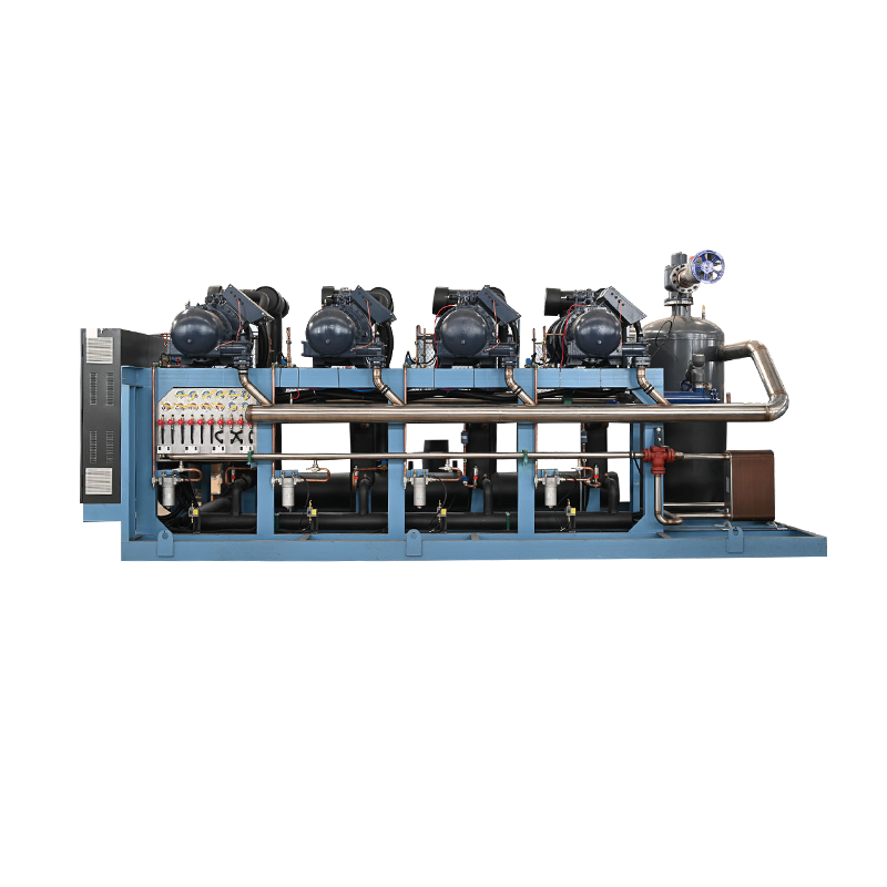 Bộ phận song song piston Bitzer